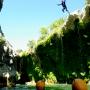 Canyoning - Canyoning Herault - Canyon du Diable - Partie haute - 35