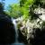 Canyoning - Canyoning dans l'Herault - Cascades d'Orgon - 49