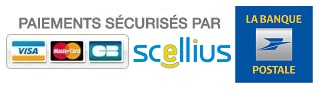logo scellius