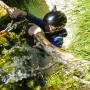 canyoning dans les gorges de l herault a saint guilhem le desert le 10 juin 2017-24