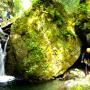 Canyoning - Canyoning au Caroux - Canyon de l'Albès - 18