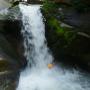 Canyoning - Canyon du Tapoul dans les Cévennes - 7