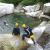 Canyoning - Canyon du Tapoul dans les Cévennes - 15