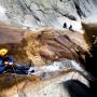 Canyoning - Canyoning dans le Caroux - Canyon du Rec Grand - 26