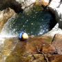 Canyoning - Canyoning dans le Caroux - Canyon du Rec Grand - 39