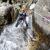 Canyoning - Canyoning dans l'Herault - Cascades d'Orgon - 4