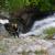 Canyoning - Canyoning dans l'Herault - Cascades d'Orgon - 42